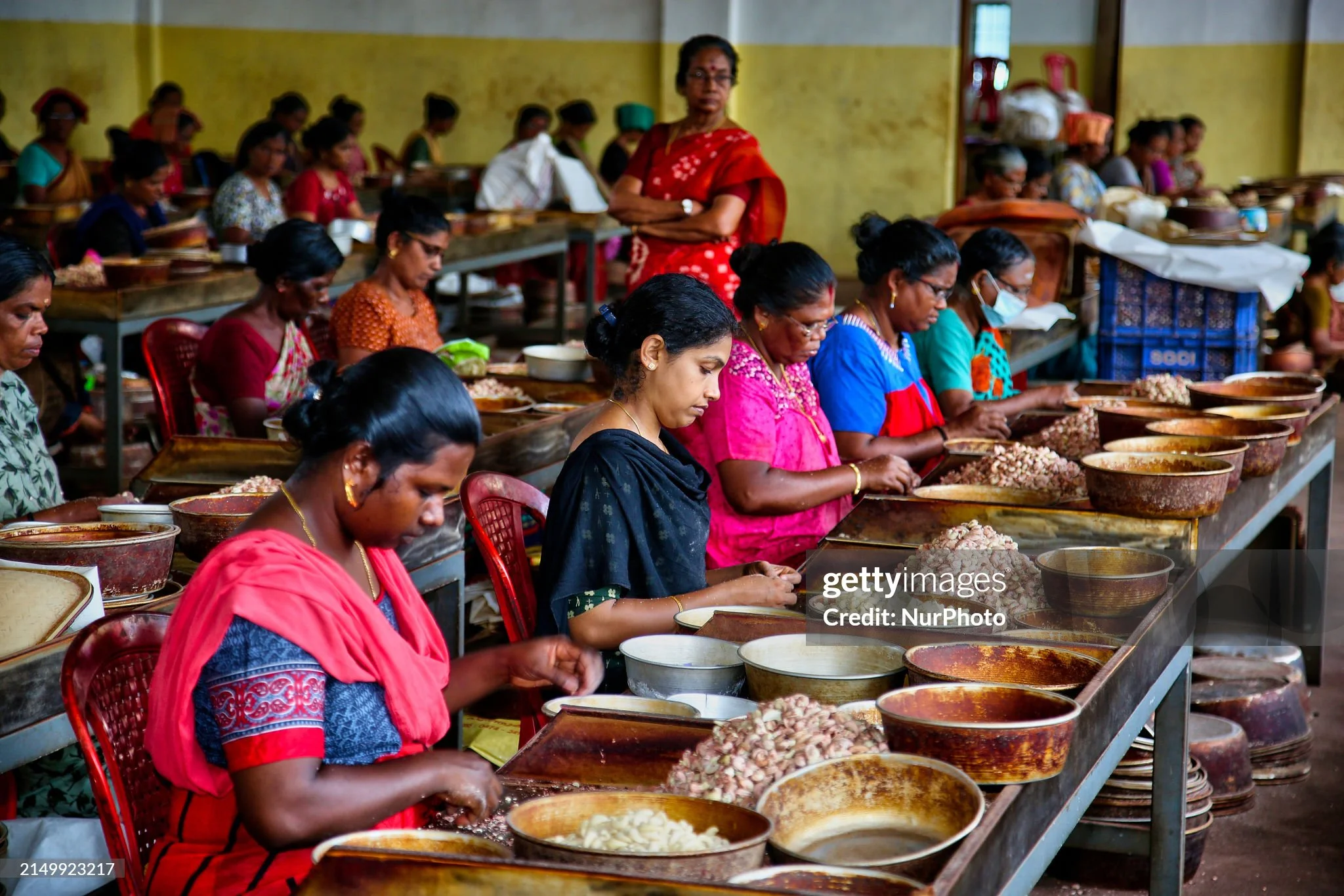 workers peeling cashew nut maually